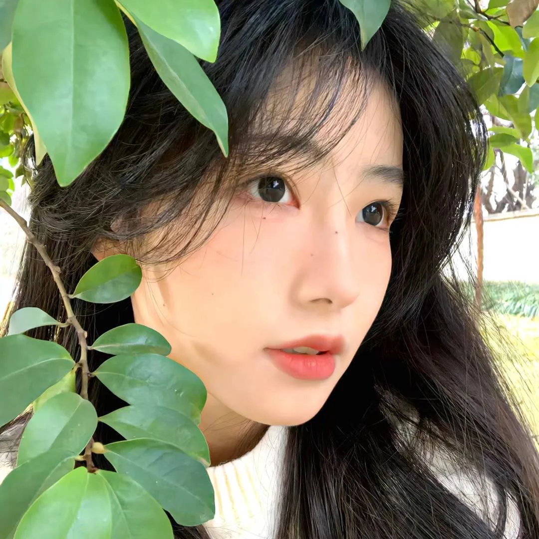 极限挑战宝藏行国家公园季